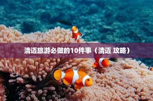 清迈旅游必做的10件事（清迈 攻略）