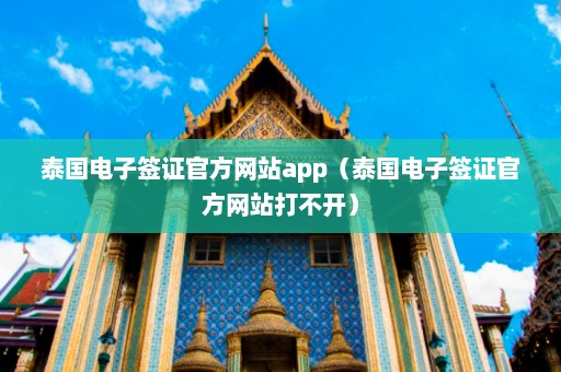 泰国电子签证官方网站app（泰国电子签证官方网站打不开）  第1张