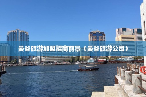 曼谷旅游加盟招商前景（曼谷旅游公司）