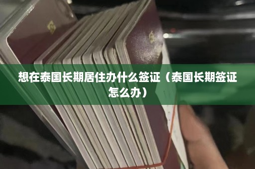 想在泰国长期居住办什么签证（泰国长期签证怎么办）  第1张