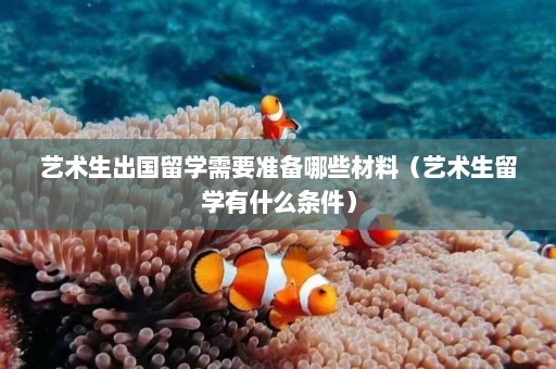 艺术生出国留学需要准备哪些材料（艺术生留学有什么条件）