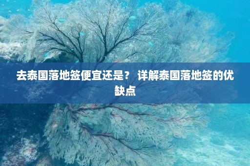 去泰国落地签便宜还是？ 详解泰国落地签的优缺点