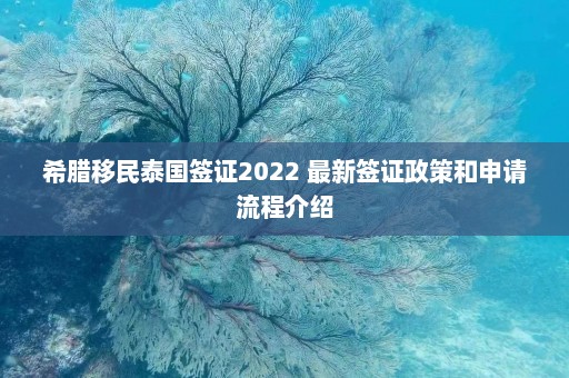 希腊移民泰国签证2022 最新签证政策和申请流程介绍