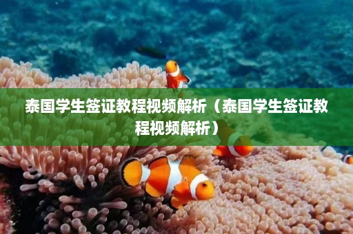 泰国学生签证教程视频解析（泰国学生签证教程视频解析）