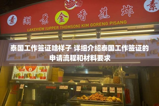 泰国工作签证啥样子 详细介绍泰国工作签证的申请流程和材料要求