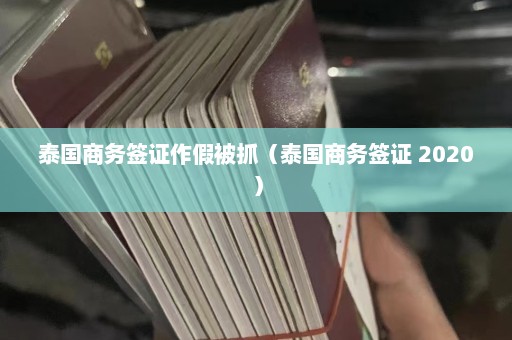 泰国商务签证作假被抓（泰国商务签证 2020）