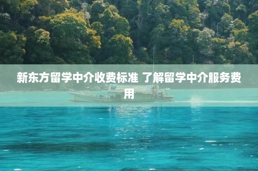 新东方留学中介收费标准 了解留学中介服务费用