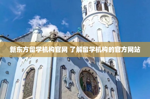 新东方留学机构官网 了解留学机构的官方网站