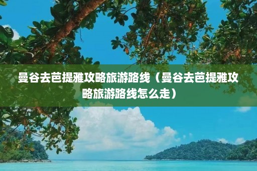 曼谷去芭提雅攻略旅游路线（曼谷去芭提雅攻略旅游路线怎么走）