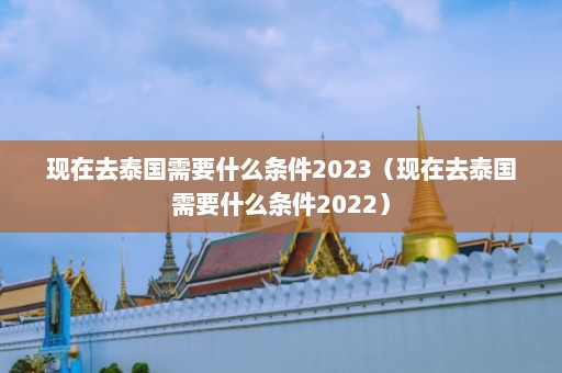 现在去泰国需要什么条件2023（现在去泰国需要什么条件2022）  第1张