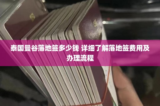 泰国曼谷落地签多少钱 详细了解落地签费用及办理流程  第1张