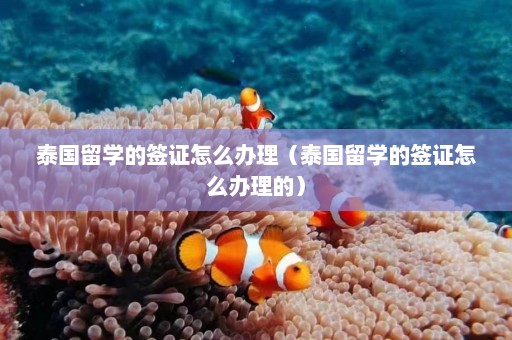 泰国留学的签证怎么办理（泰国留学的签证怎么办理的）