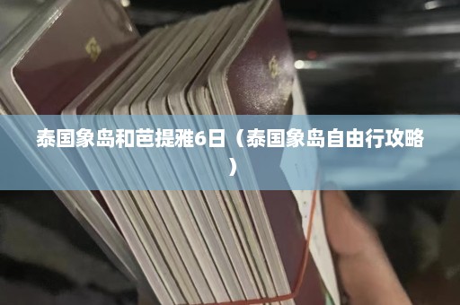 泰国象岛和芭提雅6日（泰国象岛自由行攻略）  第1张