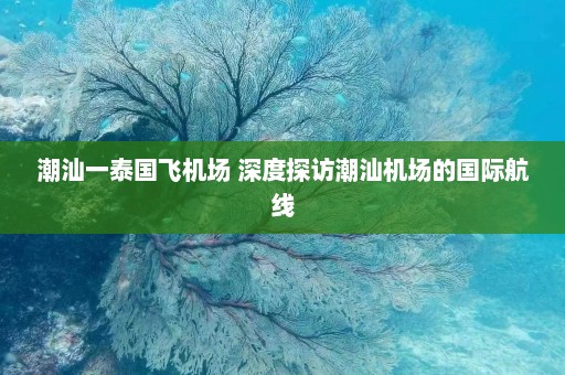 潮汕一泰国飞机场 深度探访潮汕机场的国际航线