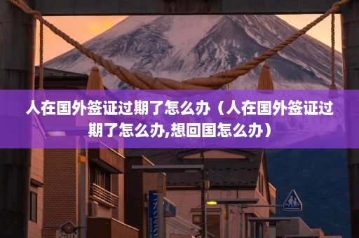 人在国外签证过期了怎么办（人在国外签证过期了怎么办,想回国怎么办）