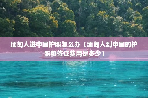 缅甸人进中国护照怎么办（缅甸人到中国的护照和签证费用是多少）