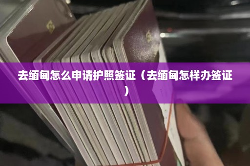 去缅甸怎么申请护照签证（去缅甸怎样办签证）  第1张