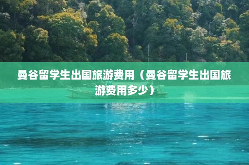 曼谷留学生出国旅游费用（曼谷留学生出国旅游费用多少）