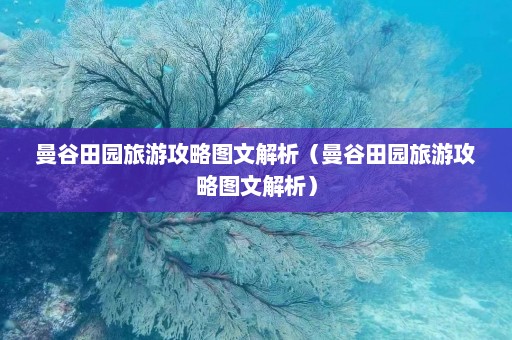 曼谷田园旅游攻略图文解析（曼谷田园旅游攻略图文解析）