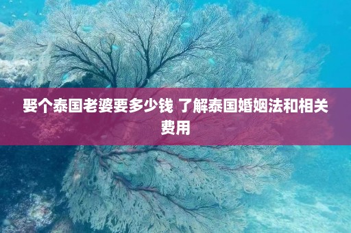 娶个泰国老婆要多少钱 了解泰国婚姻法和相关费用