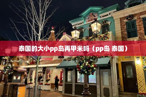 泰国的大小pp岛再甲米吗（pp岛 泰国）