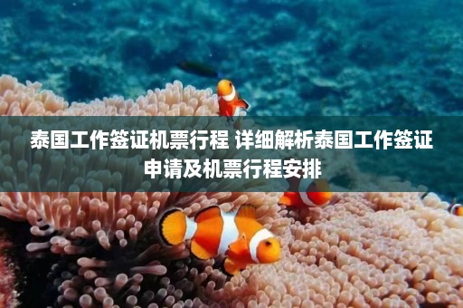 泰国工作签证机票行程 详细解析泰国工作签证申请及机票行程安排