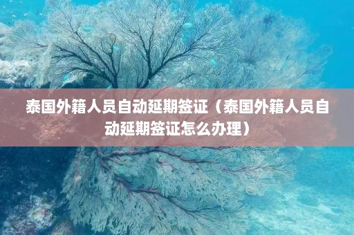 泰国外籍人员自动延期签证（泰国外籍人员自动延期签证怎么办理）