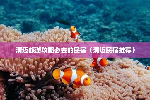 清迈旅游攻略必去的民宿（清迈民宿推荐）