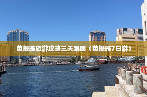 芭提雅旅游攻略三天跟团（芭提雅7日游）  第1张