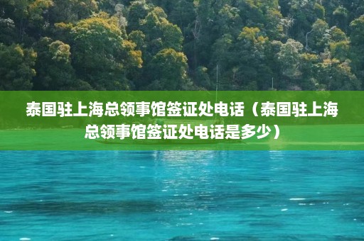 泰国驻上海总领事馆签证处电话（泰国驻上海总领事馆签证处电话是多少）