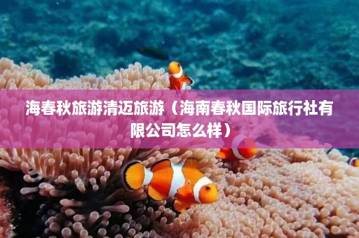 海春秋旅游清迈旅游（海南春秋国际旅行社有限公司怎么样）