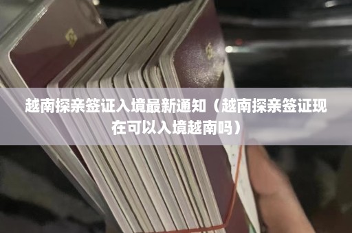 越南探亲签证入境最新通知（越南探亲签证现在可以入境越南吗）  第1张