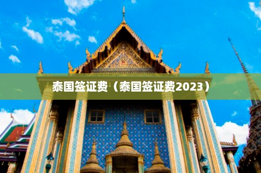 泰国签证费（泰国签证费2023）