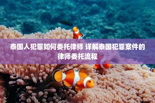 泰国人犯罪如何委托律师 详解泰国犯罪案件的律师委托流程