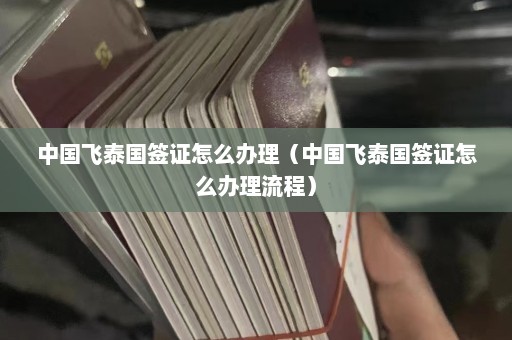 中国飞泰国签证怎么办理（中国飞泰国签证怎么办理流程）  第1张