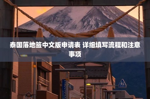 泰国落地签中文版申请表 详细填写流程和注意事项