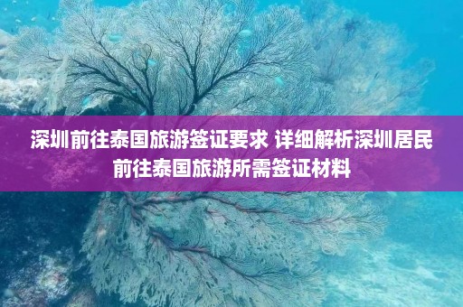 深圳前往泰国旅游签证要求 详细解析深圳居民前往泰国旅游所需签证材料