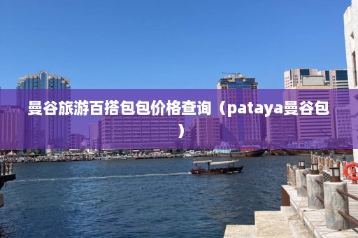 曼谷旅游百搭包包价格查询（pataya曼谷包）