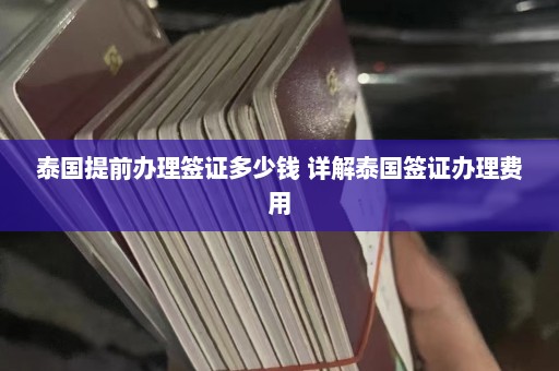 泰国提前办理签证多少钱 详解泰国签证办理费用  第1张