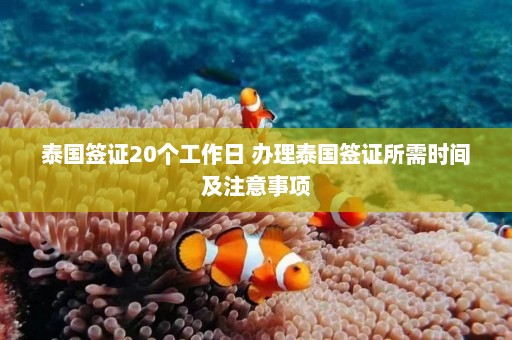 泰国签证20个工作日 办理泰国签证所需时间及注意事项