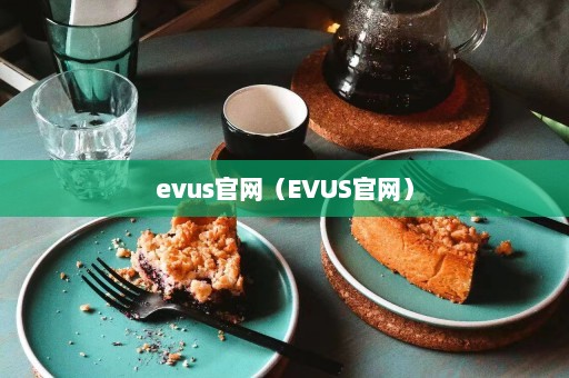 evus官网（EVUS官网）