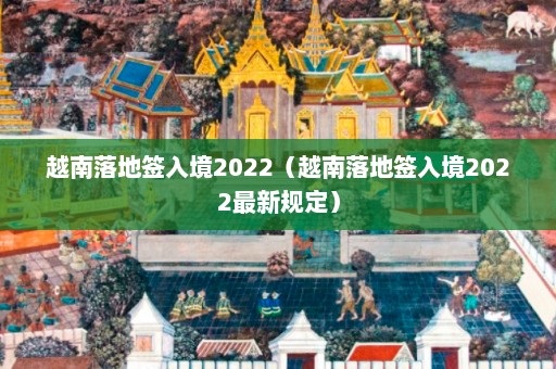 越南落地签入境2022（越南落地签入境2022最新规定）  第1张