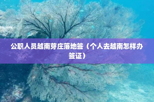 公职人员越南芽庄落地签（个人去越南怎样办签证）