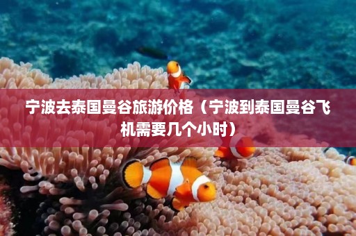 宁波去泰国曼谷旅游价格（宁波到泰国曼谷飞机需要几个小时）