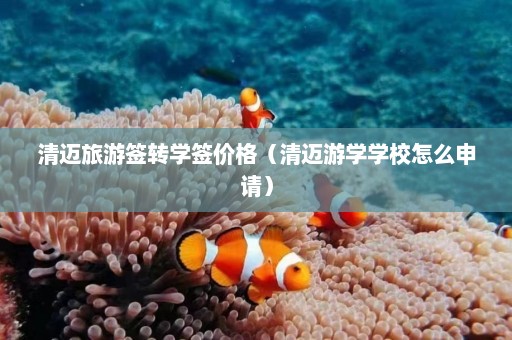 清迈旅游签转学签价格（清迈游学学校怎么申请）