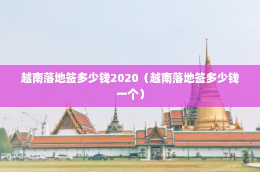 越南落地签多少钱2020（越南落地签多少钱一个）