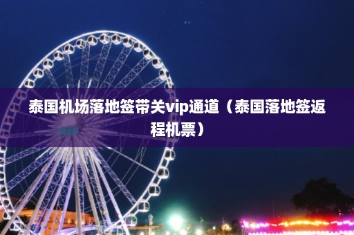 泰国机场落地签带关vip通道（泰国落地签返程机票）  第1张