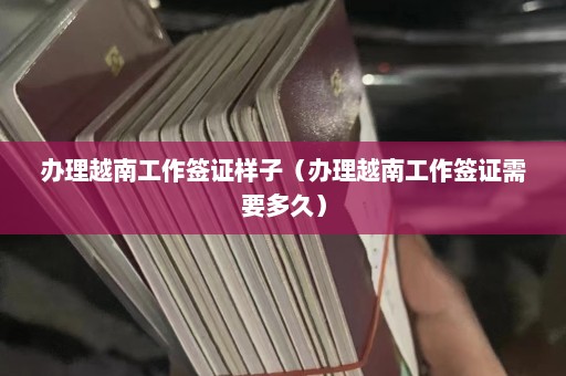 办理越南工作签证样子（办理越南工作签证需要多久）  第1张