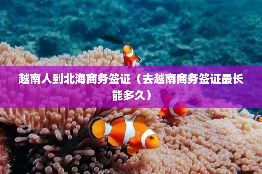 越南人到北海商务签证（去越南商务签证最长能多久）