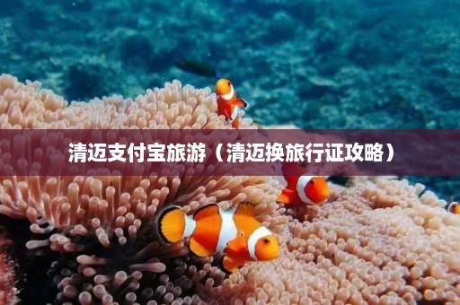 清迈支付宝旅游（清迈换旅行证攻略）